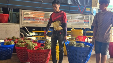 Gia Lai êt lhăt mât uănh mã mbrô nkual tăm, ntŭk nklâm tâl