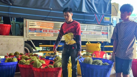 Gia Lai pêi pro kơtăng pơkuâ ngăn mah kơxô̆ kơpong pêt, tíu tâ tung kơthung