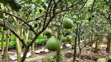 ពត៌មាន​ម៉ោង៦