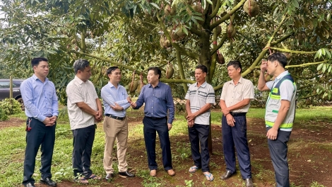 Đắk Lắk hŏk pơhrăm ƀơk ăn mã kơsô̆ tơring pơtăm kiơ̆ trong tơchơ̆t ‘nao 