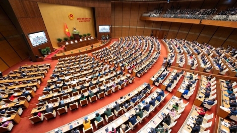 Ntơm ƀư Rơh rƀŭn ndal bôk năp, Quốc hội khóa 16