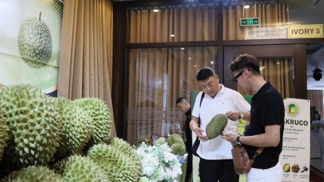 Mkŏ klei mkăp brei boh durian Việt Nam - China ti Dak Lak 