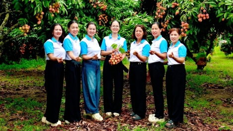 BẮC NINH: ROỌNG RIỂC PỈ NOỌNG HẾT NÈM ĐÂY, TẲNG CÓ BẢN CỎN ĐẢY TỐI MẤƯ