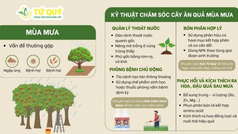 Kỹ thuật mảng cấu đéng nhản piêuz gang thóng lùng tùi bluỷnh khzuất lổ