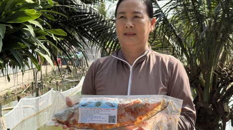 ផ្លាស់ប្តូរផលិតកម្មបង្កើនតម្លៃកសិផល បង្កើតការងារជូនស្ត្រីជនបទជាច្រើននាក់