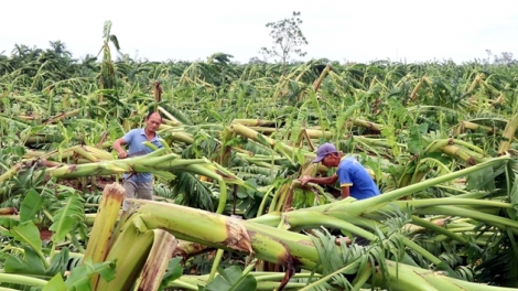 Khoa học kỹ thuật thiêz siv nênhx uô kôngz hnuz 18-8-2026