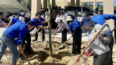 Đắk Lắk đồng loạt trồng cây tại các trường nội trú vùng biên