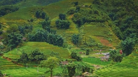 Danak dak sap Cam 15_08_2026