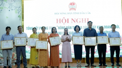 Đắk Lắk phát động phong trào thi đua sản xuất kinh doanh giỏi gắn với chuyển đổi số