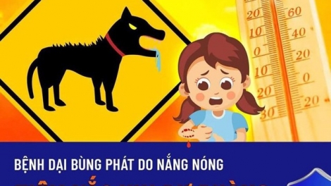 Chà đảng bùng tăngz pẻnh pút đin ziêm thóng hạ cuối