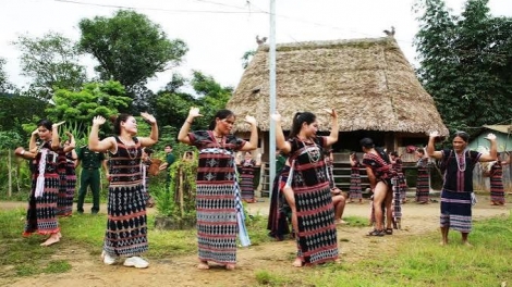Em là hoa Pơ Lang