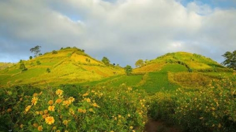 Tơring ah
