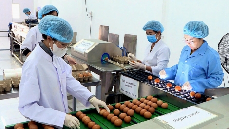 Khao học, công nghệ jêng soan têh hun hao an n’gor Lâm Đồng