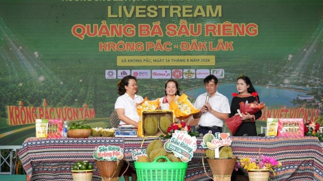 Lơh geh mờr 3 tơmàn đong tơnơ̆ ală dar livestream tăc phan tàm Dơ̆ lơh chờ Sầu riêng   
