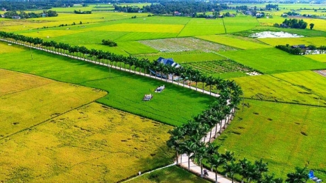 Sành ấy thấy liệp láng tẩy xieng hiện đại