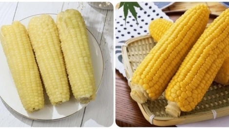 MÒN ĐÂY PỬA KIN LÈNG BẮP TỔM
