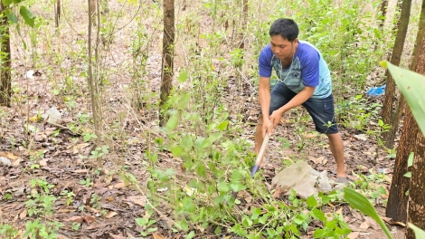 97,5% thanh niên vùng dân tộc thiểu số có việc làm nhưng chưa bền vững