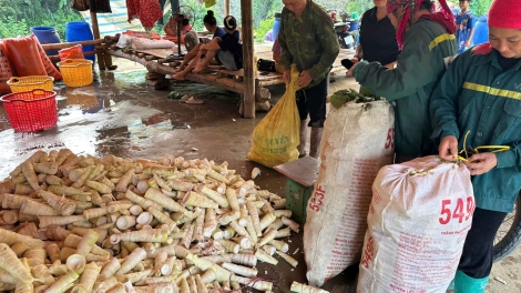 Xor xưv faz Bắc hnuz 19-8-2026