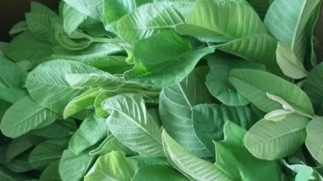 BÂƯ MÁC ỘI PỀN DA TẢNG LÀN PỈNH PÂY MỐC HẨƯ CÁY CHANG SLÌ PHÂN