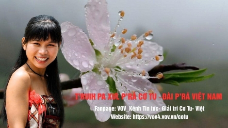 T'RUIH PA XƯL P'RA CƠ TU THỨ 3 T'NGAY 22/9/2026