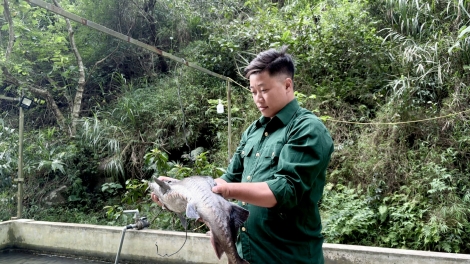 CỰU CHIẾN BINH DÚ LẠNG SƠN HẾT CHÀU TỨ LIỆNG PJA NẶM CẮT