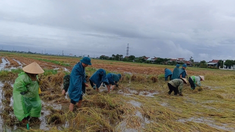 Rim tơring kơ Tây Nguyên tơjră hăm 'mi kial đak hơbông 