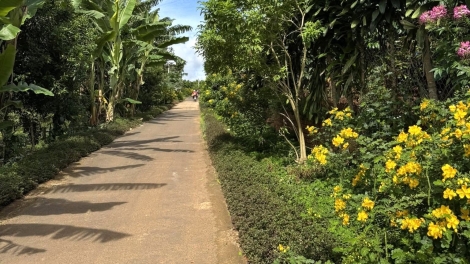 “Nơ̆r pơma đei lui yom” lơ̆m tơdrong pơjing tơring tơrang ‘nao tơ̆ tơring kon kông Lâm Đồng
