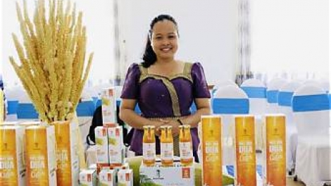 ស្ត្រីខ្មែរបង្កើនតម្លៃដើមដូងនៅស្រុកកំណើត