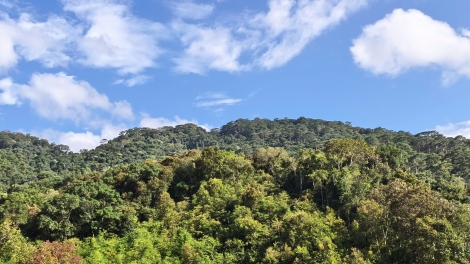 Kơdră pơlei, bơngai đei đe lui yom: “linh jang” ăn Khul vei lăng bri tơ̆ Lâm Đồng