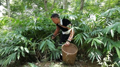 Ngon tô thứ 5 mự 17.9.2026 – Púk nó nảnh tím – luông dệt khảm khói xìa cặt cung khòng pi nọng phổng xùng Trạm Táu