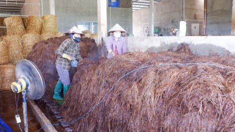 កែច្នៃសំណល់ផលិតផលឡើងវិញ៖ វដ្តបៃតងលើដីឈូកក្រហម