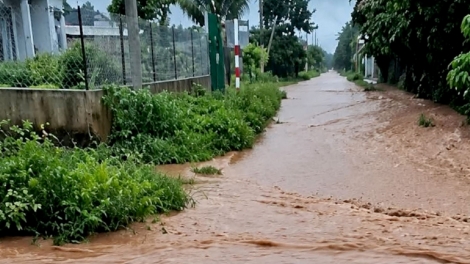 Kong mê kân têa lân lu, tơnêi tơhnâp a hên kơpong a Gia Lai, Dak Lak