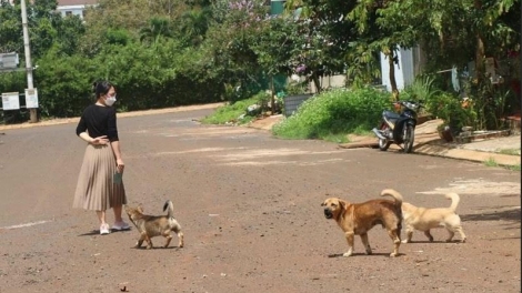 Dua čô hđeh ti Gia Lai djiê kyua klei ruă khŏ hlăm sa hruê kăm  