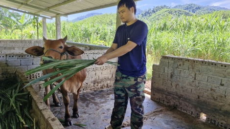 Đồng bào Cơ Tu miền núi Đà Nẵng thay đổi nếp nghĩ, cách làm ăn
