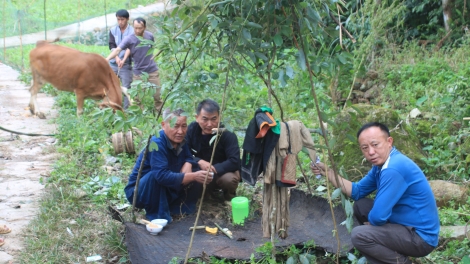 LẸ PÀI MÌ TUA MÒ NÂNG CÚA PỈ NOỌNG CẦN MÔNG