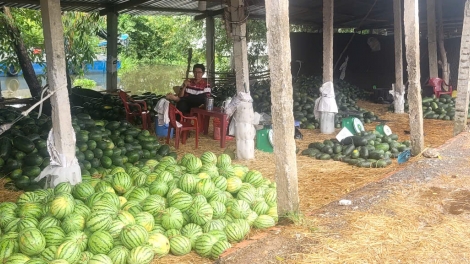 ឃុំតំបន់ឆ្ងាយដាច់ស្រយាលរបស់ដុងថាបឈោងឈានឡើងក្រោយពេលអនុវត្តរដ្ឋអំណាចមូលដ្ឋានពីរថ្នាក់