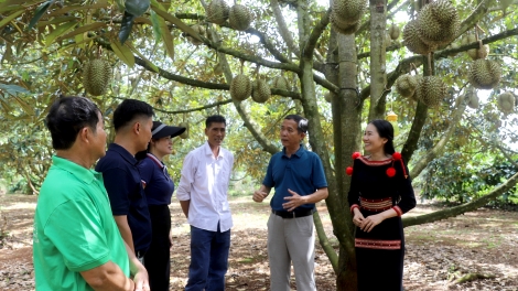Pơrlòng giá suơn sầu riêng: Pờ tai broă tơrbŏ drà kă bro 