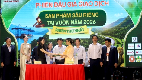 Bi lông blei đang durian: Pŏk thiăm hdră mkŏ anôk ba čhĭ 