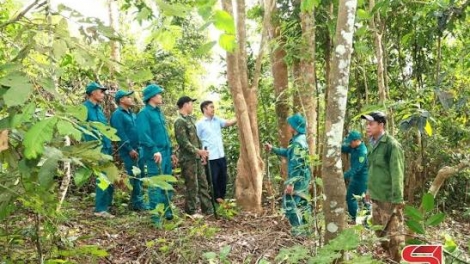 Lầy tzình phát sinh ìu miền vả hoi 16.10.2026