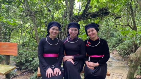 DÂN QUÂN NHÌNH HÂY