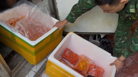 Bắt giữ hơn 700 kg trứng gà non không rõ nguồn gốc