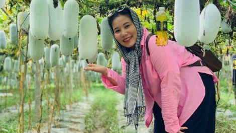 Công nghệ số mở lối cho bí xanh thơm vùng cao