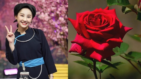 CẰM TOẸN TỂN: ĐĂNG BOỎNG