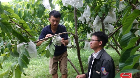 Ngon tô thứ 2 mự 05.10.2026  – Tiện tô cắp pả Ca Thị Thịnh, dú Phương Chiêng Sình, tỉnh Sờn La ma tang vịa lăm đù púk bồng phắc hẳư cựt đảy lang đì 