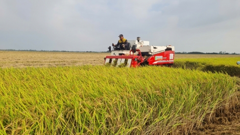 ពត៌មាន​ម៉ោង៦