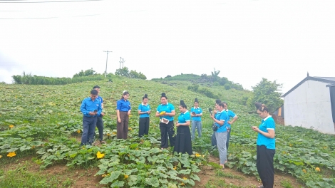 Ngon tô thứ 5 mự 22 căm bườn 10 pì 2026: Mỏi côn cuồng chua hươn nẳng xã Yên Sơn lỏ côn cốc chính cuồng vịa chiên cái luông hụ xiêng số
