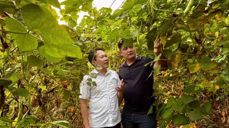 Ngon tô thứ 5 mự 08.10.2026 – Sẳư chằm dần té luông dệt niếu chưa dần mương khòng chính quyên địa phường 2 cấp