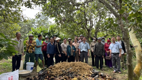 Po rơnêu bro tơnêi, pêt tơmeăm tung chiâk deăng krá ton