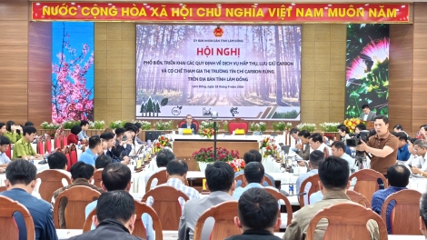Kơsô̆ Tín chỉ carbon đơ̆ng bri – Tơdrong ‘lơ̆ng ‘nao vă pơm hơtŏk kơjă tơmam đơ̆ng bri Lâm Đồng