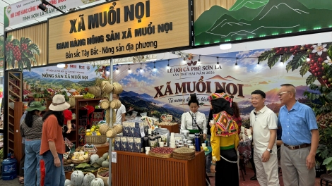 Tsaz yênhx nta suôz luk Hmôngz hmo 12-10-2026